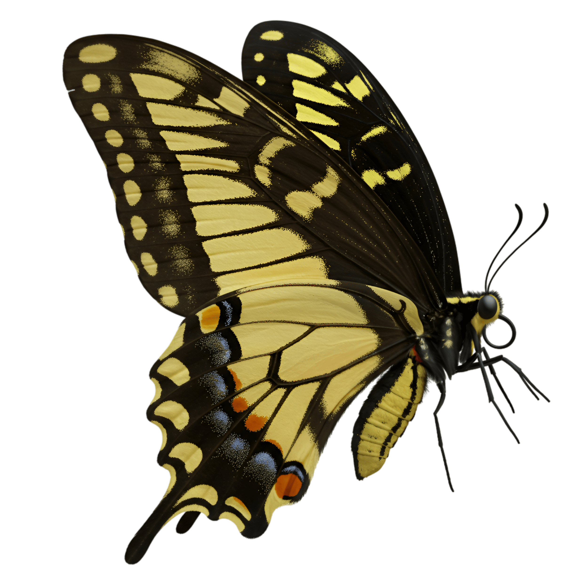 Low maintenance landscape icon